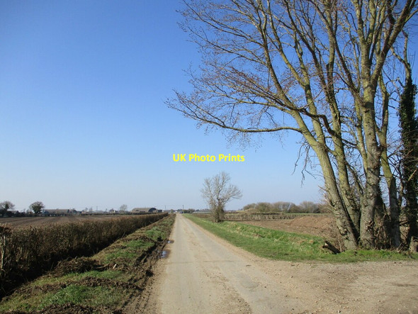 Photo 6"x4" Reedham Lane Reedham\/TF2456 c2022