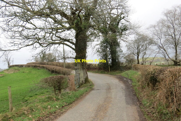 Photo 6"x4" Tro yn yr heol \/ Bend in the road Babel c2022