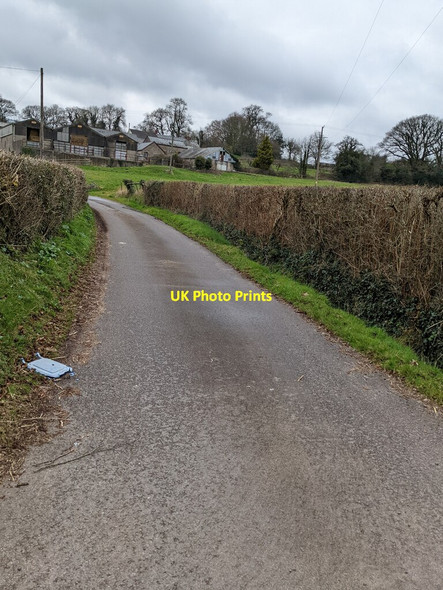 Photo 6"x4" Hedge-lined farm access road, Itton, Monmouthshire Itton\/ST4995 c2022