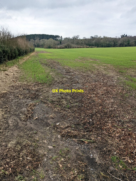 Photo 6"x4" Field on the south side of the B4293, Itton, Monmouthshire Itton\/ST4995 c2022