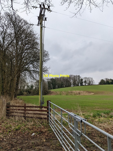 Photo 6"x4" Line spur pole in a field, Itton, Monmouthshire Itton\/ST4995 c2022