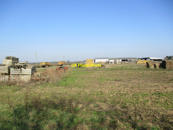 Photo 6"x4" Appleyard Farm, Reedham Reedham\/TF2456 c2022