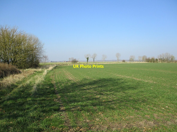 Photo 6"x4" Autumn sown crop, Moorhouses Moorhouses\/TF2756 c2022