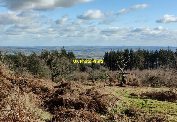 Photo 6"x4" View southeast from the Croft Ambrey Iron Age hill fort Leinthall Earls c2022