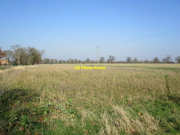 Photo 6"x4" Stubble field off Revesby Bank Revesby Bridge c2022