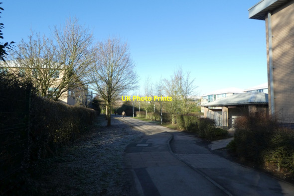 Photo 6"x4" Cycle path in the Science Park Heslington c2022