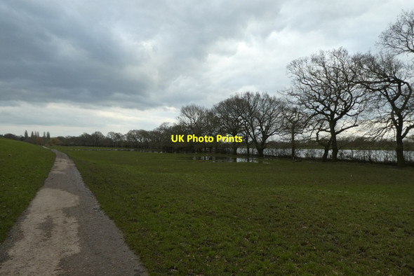 Photo 6"x4" Cycle path on Clifton Ings York\/SE5951 c2022