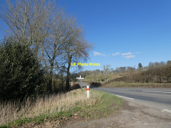 Photo 6"x4" Turning for Shatwell Lane Welham\/ST6631 c2022