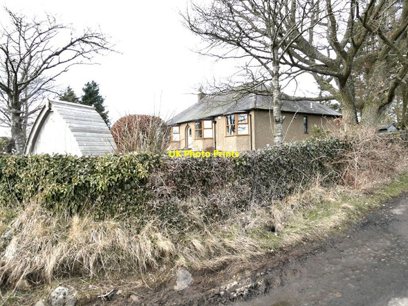 Photo 6"x4" Fernwood Bungalow Bellingham\/NY8383 c2022