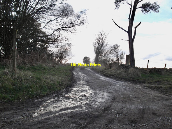 Photo 6"x4" Start of the Peat Road Stape c2022