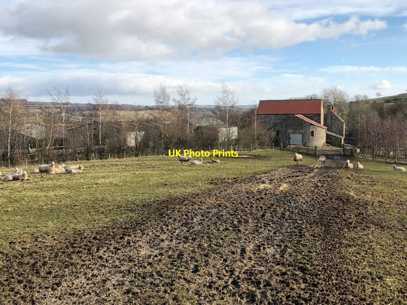 Photo 6"x4" Towdy Potts Farm Upper Town\/NZ0737 c2022