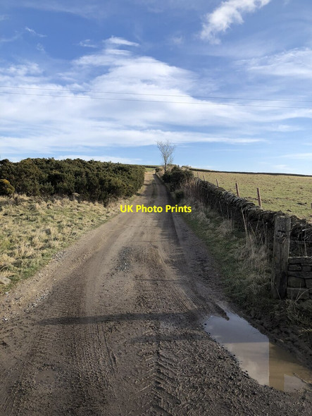 Photo 6"x4" Moorland Road Upper Town\/NZ0737 c2022