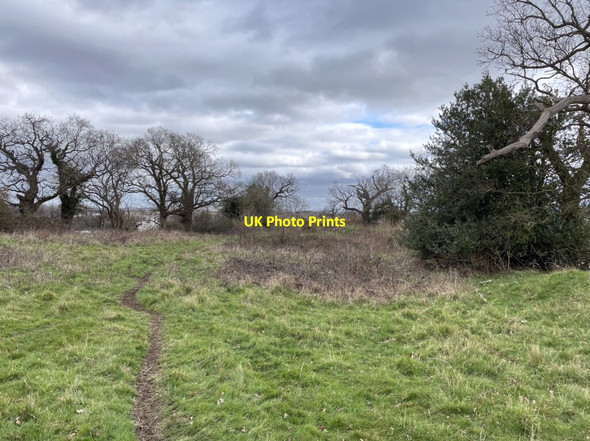 Photo 6"x4" On The Burgs Iron Age hillfort Bayston Hill c2022
