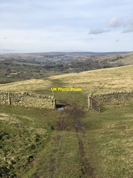 Photo 6"x4" Weardale Way Above Frosterley Hill End\/NZ0135 c2022