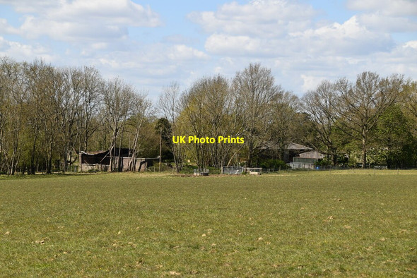 Photo 6"x4" Ardenrun Farm Lingfield Common c2021