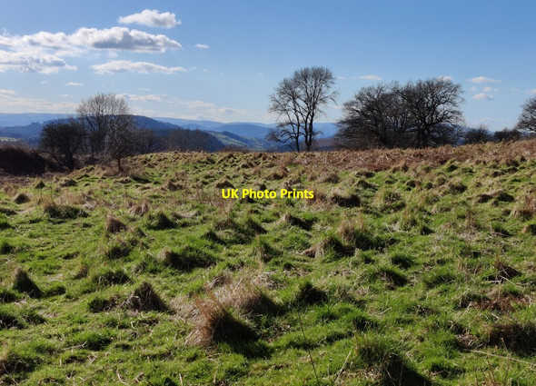 Photo 6"x4" Inside the Croft Ambrey Iron Age hill fort Leinthall Earls c2022