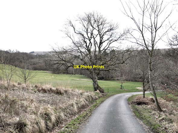 Photo 6"x4" Bellingham Golf Course Bellingham\/NY8383 c2022