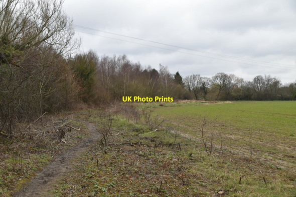Photo 6"x4" Field edge footpath Congelow c2021