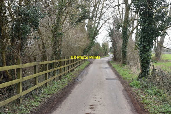 Photo 6"x4" Symonds Lane Laddingford c2021