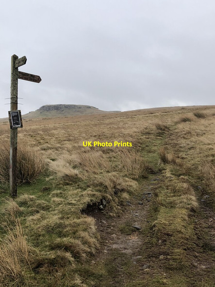 Photo 6"x4" Pennine Way Signpost Hury c2022