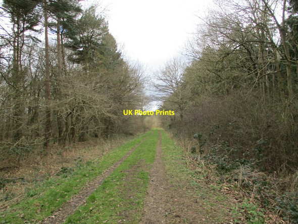 Photo 6"x4" Track in The Gorse Gautby c2022