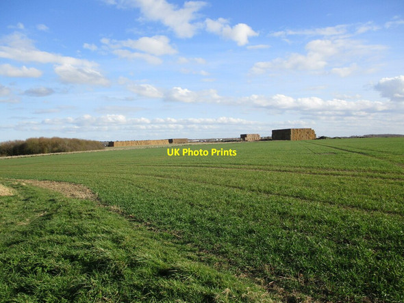 Photo 6"x4" Straw stacks on site of former RAF Bardney Young Wood c2022