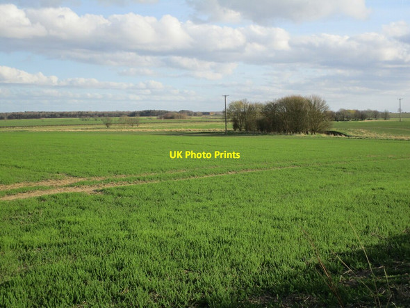 Photo 6"x4" Bardney Dairies Stainfield\/TF1173 c2022