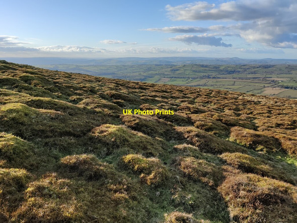 Photo 6"x4" On the northern slopes of Titterstone Clee Hill Cleeton St Mary c2022