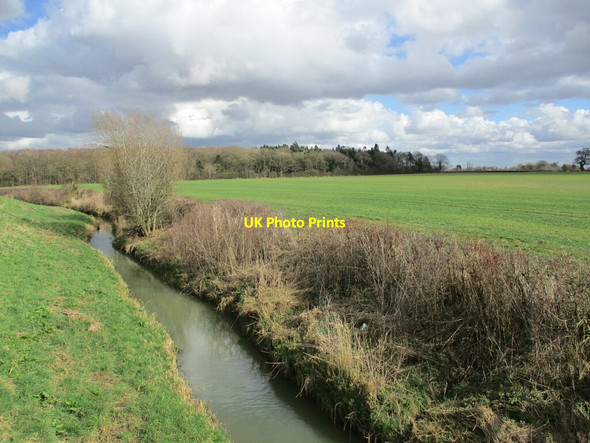 Photo 6"x4" Great Drain and Bucknell Wood Bucknall\/TF1768 c2022