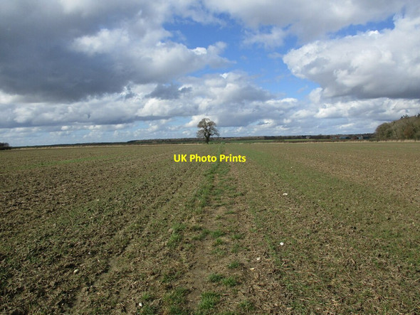 Photo 6"x4" Footpath to Bardney Bucknall\/TF1768 c2022