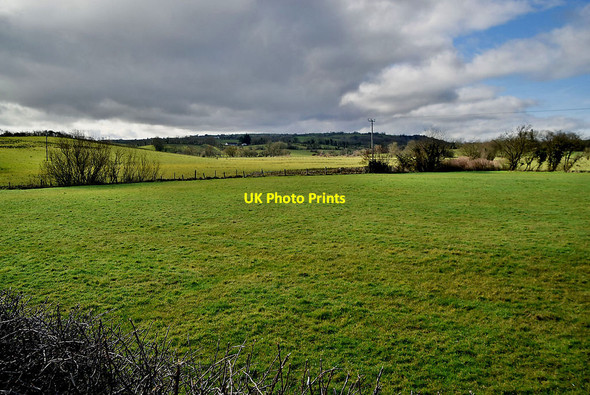 Photo 6"x4" Letfern Townland Seskinore c2022