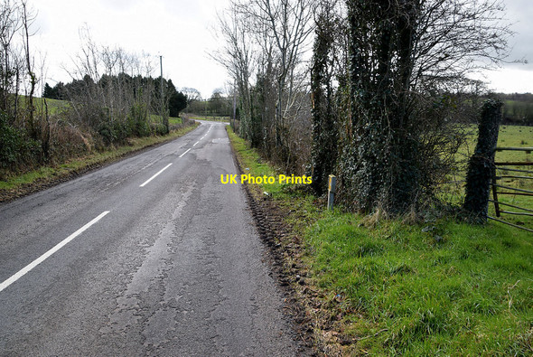 Photo 6"x4" Muddy along Corkhill Road Seskinore c2022