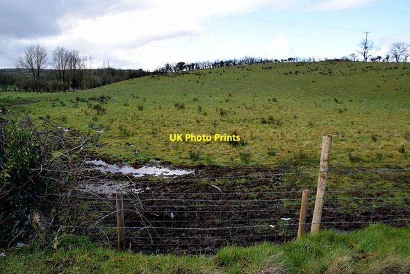 Photo 6"x4" A wet field, Letfern Seskinore c2022
