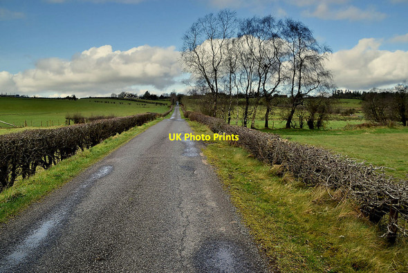 Photo 6"x4" Letfern Road Seskinore c2022