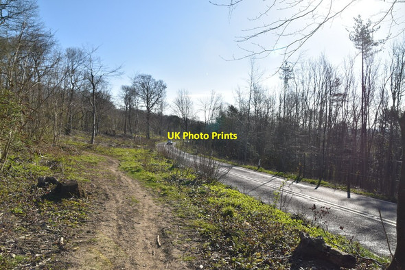 Photo 6"x4" North Downs Way, Titsey Hill Titsey c2021