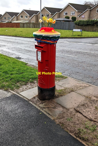 Photo 6"x4" Spring-themed hat on a pillar box, Coed Eva, Cwmbran Cwmbran\/Cwmbr\u00e2n c2022