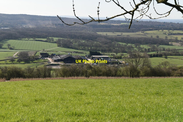 Photo 6"x4" Pilgrims Farm Titsey c2021