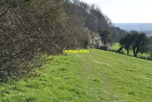 Photo 6"x4" North Downs Way Titsey c2021
