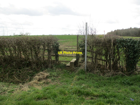Photo 6"x4" Beginning of a footpath to Bucknall Bucknall\/TF1768 c2022