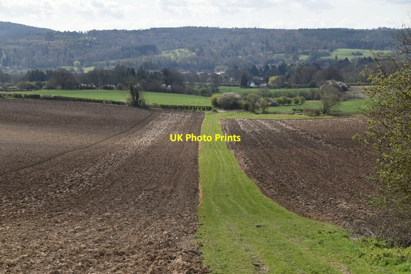 Photo 6"x4" Footpath \/ headland strip Force Green c2021