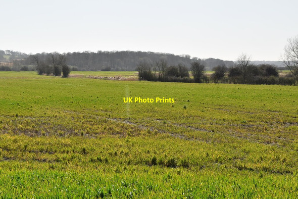 Photo 6"x4" Flat arable land Newenden c2021