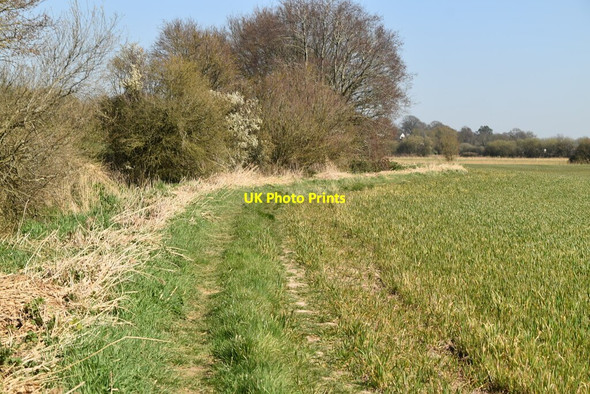 Photo 6"x4" Footpath to Newenden Lamberden c2021