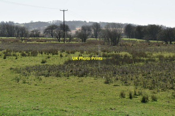 Photo 6"x4" Rough grazing Lamberden c2021