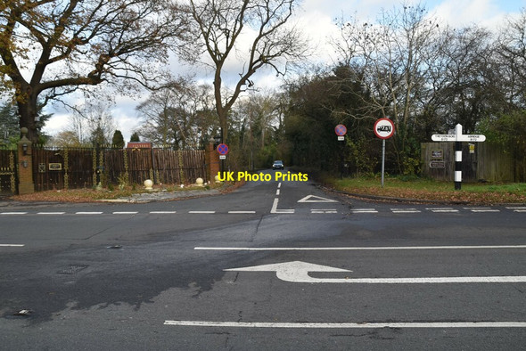 Photo 6"x4" Coopersale Lane Hobbs Cross\/TQ4799 c2021