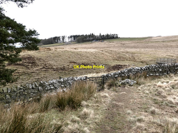 Photo 6"x4" Pennine Way approaching Hareshaw House Farm Abbey Rigg c2022