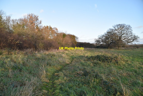 Photo 6"x4" Field edge footpath Theydon Bois c2021