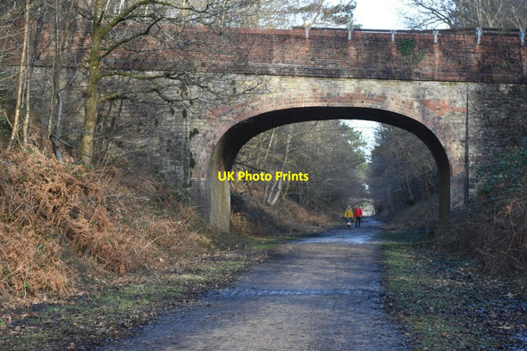 Photo 6"x4" Former railway bridge in Set Thorns Inclosure Mead End\/SZ2698 c2022