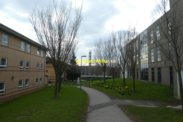 Photo 6"x4" Path in Alcuin Heslington c2022