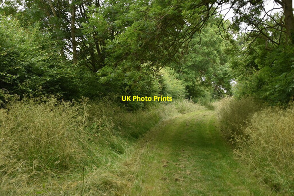 Photo 6"x4" Grassy footpath Boxworth c2021