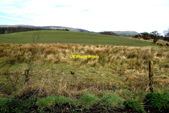 Photo 6"x4" Rough ground, Drumnakilly Mountfield\/H5378 c2022